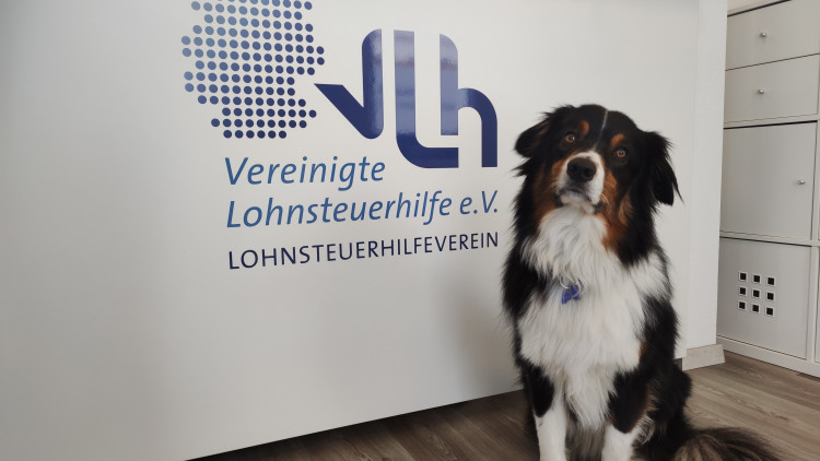 Bild der Beratungsstelle Cornelia Kowal 