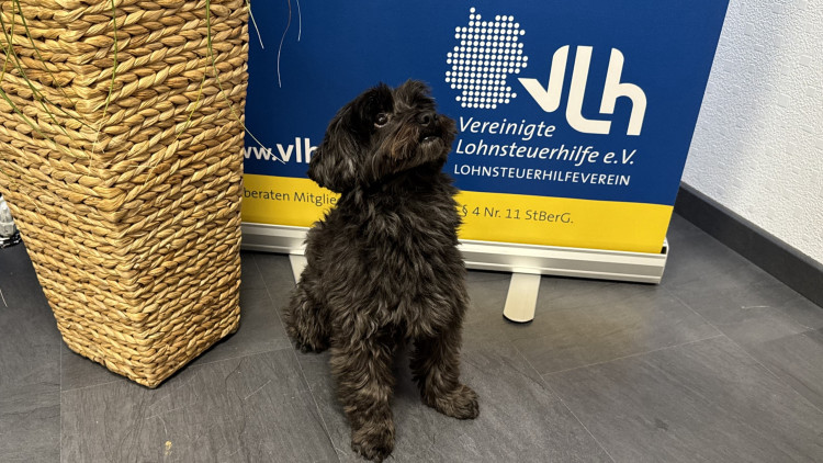 Bild der Beratungsstelle Nicole Karg 