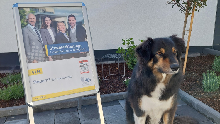 Bild der Beratungsstelle Manuela Oesterwalbesloh 