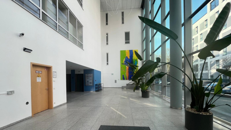 Bild der Beratungsstelle Elif Özge Piroglu 